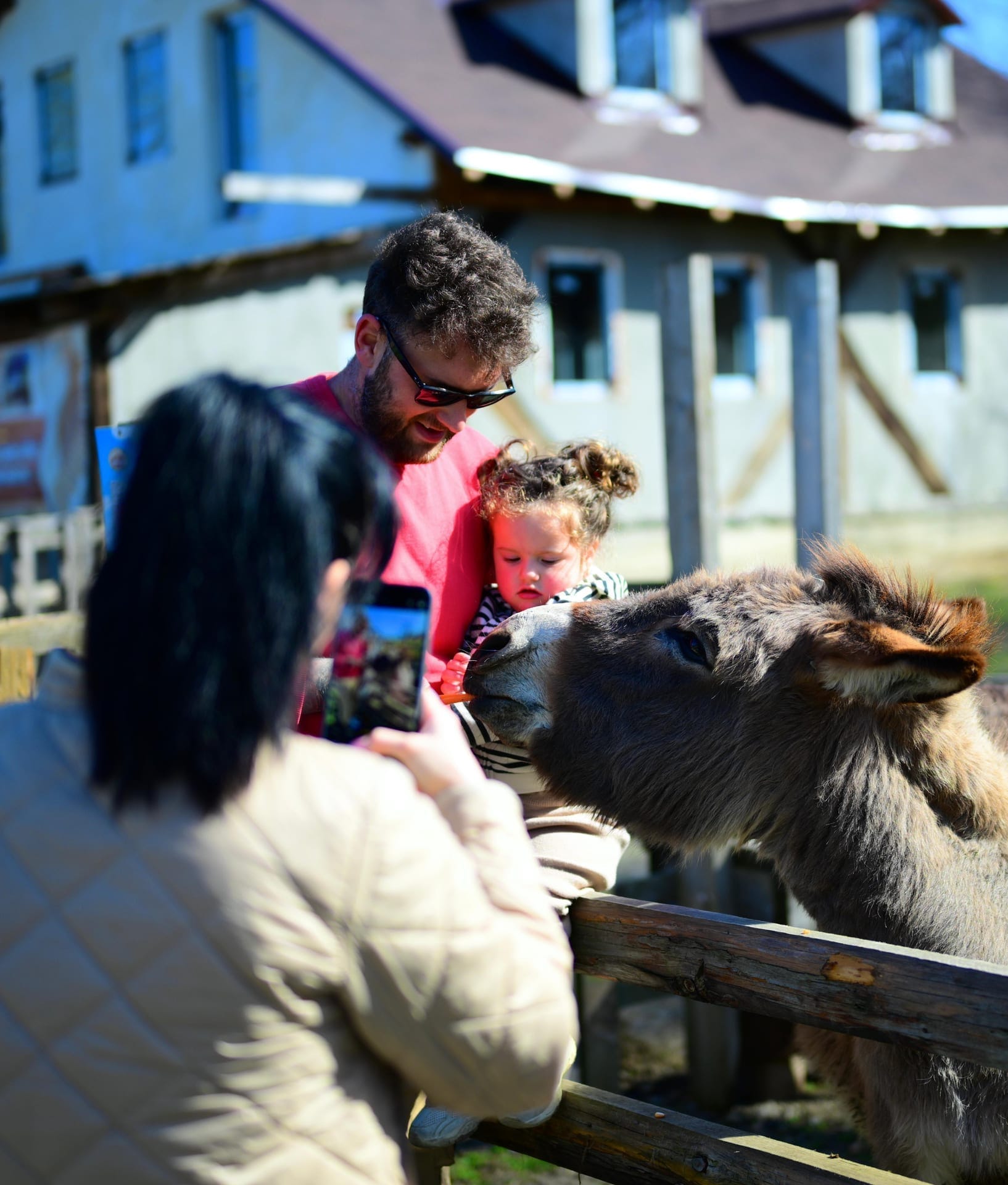 Alpaca la Ferma cu Povești